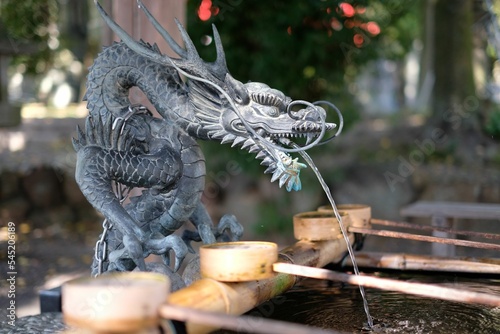 Sculpture of a dragon in the Japanese national treasure Inuyama castle photo