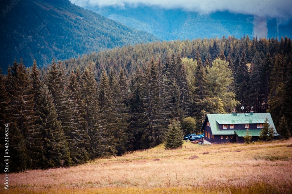 Countryside house in natural field with trees and mountain in the background