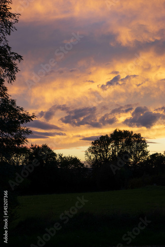 Ciel automnal orangé avec des arbres