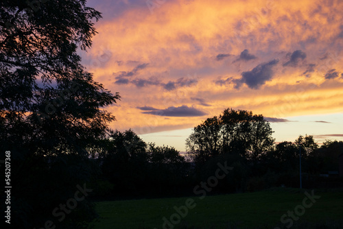 Ciel automnal orangé avec des arbres