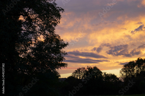 Ciel automnal orangé avec des arbres