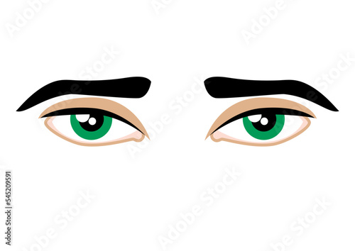 Sensual green male eyes icon vector. Beautiful green male eyes and eyebrows icon vector isolated on a white background
