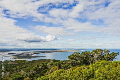 Panoramic view of a green forest against the sea in Invercargill, New Zealand on a cloudy day