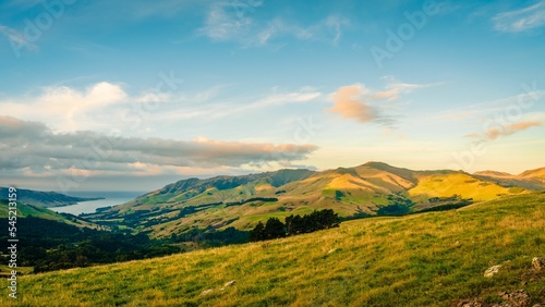 Green meadow with a cloudy blue sky in the background, Akaroa, Banks Peninsula, New Zealand