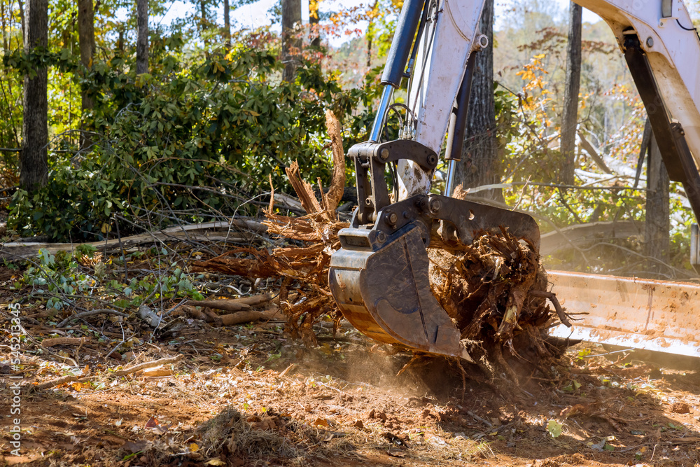 Landscaping company was using tractor skid steers to clear land of