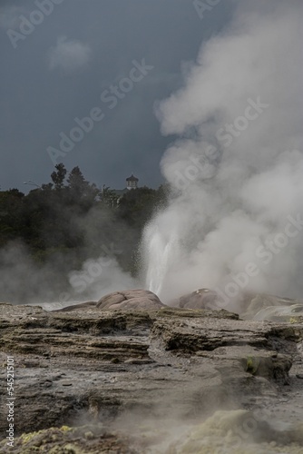 Vertical shot of a hot spring with smoke surrounded by vegetation in Rotorua  New Zealand