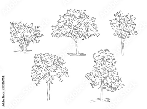 Black and white trees. Set of hand-drawn trees for architecture. Vector sketch of trees.. Vector sketch of trees. Architectural illustration, landscape elements. Minimalistic line drawing of a tree.