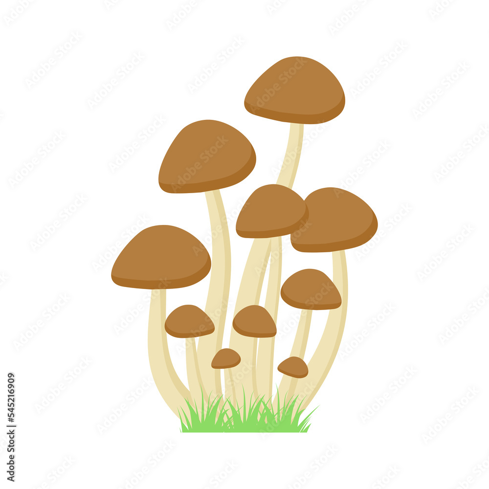 Mushroom with grass on transparent background.