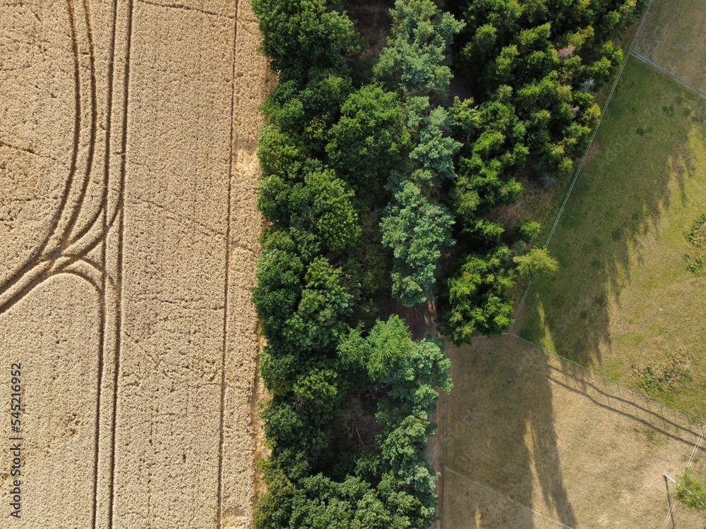 View of the green trees and fields from a drone. View of the green trees and fields from a drone.