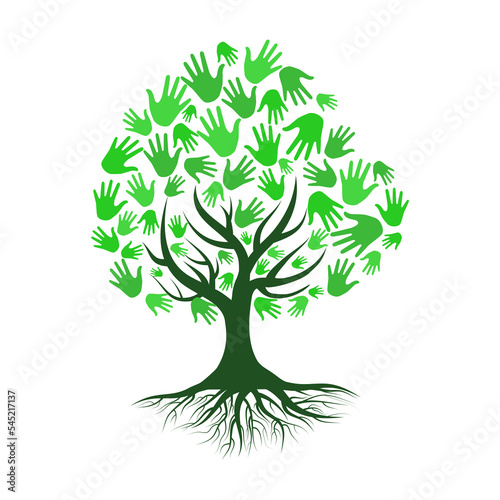 hand with tree isolate on transparent background.