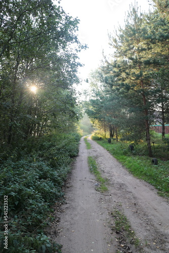 Rural dirt road in the summer in the village