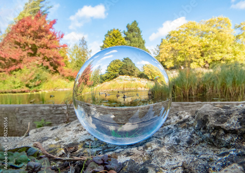 Photo of nature with ducks, lake and trees inside a crystal ball