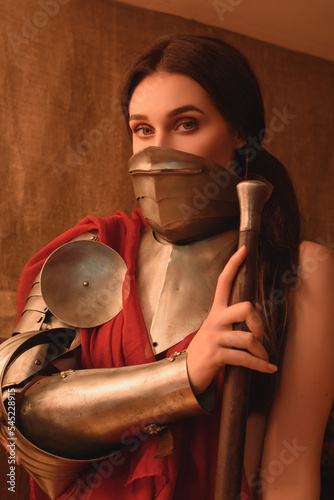 Lady knight portrait