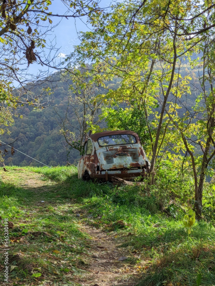 Vertical view of an abandoned rusty car in the greenery Vertical view of an abandoned rusty car in the greenery
