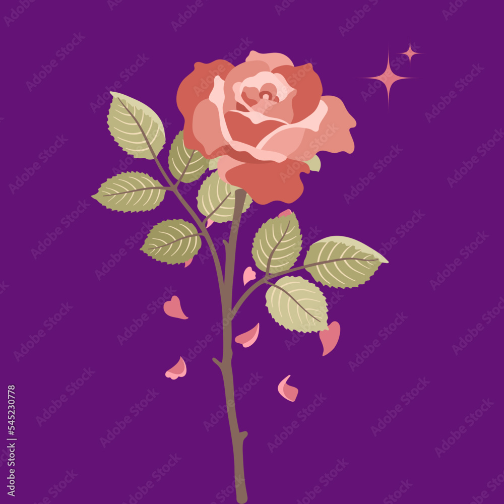 ROSA  🌹 