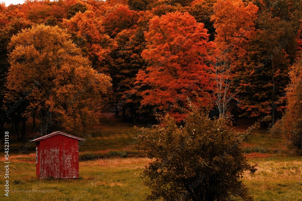 Beautiful autumn landscape of colorful trees and a small red wooden building.