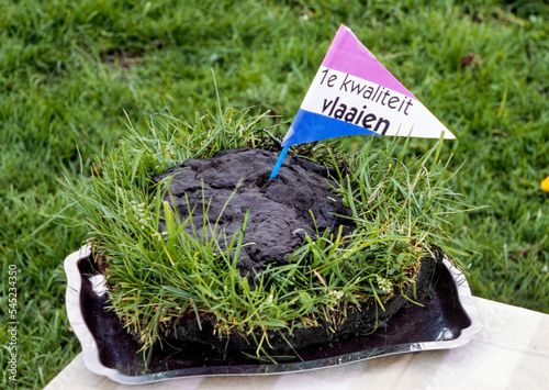 manure with dutch flag on grass, cow pie, meadow, with dutch flag, first quality,  photo