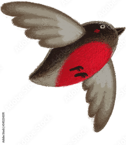 Christmas collection. Christmas bird bullfinch flying, isolated