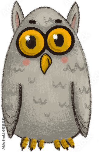 Christmas collection. Christmas owl bird, isolated
