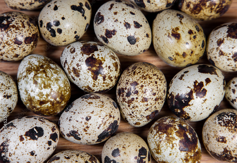 a close-up of some quail eggs a close-up of some quail eggs