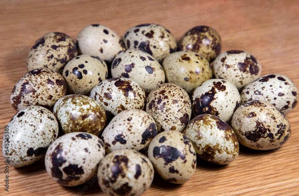 A close-up of many quail eggs A close-up of many quail eggs