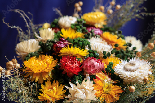 A bouquet of Helichrysum bracteatum - everlasting flowers. photo