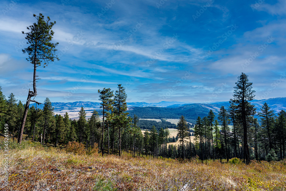 Obraz premium Mary Minerva McCroskey Memorial State Park in Idaho