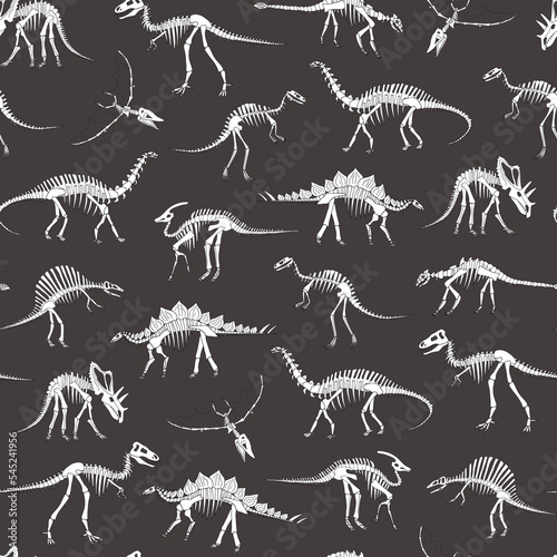 Dinosaur bones vector line seamless pattern. photo