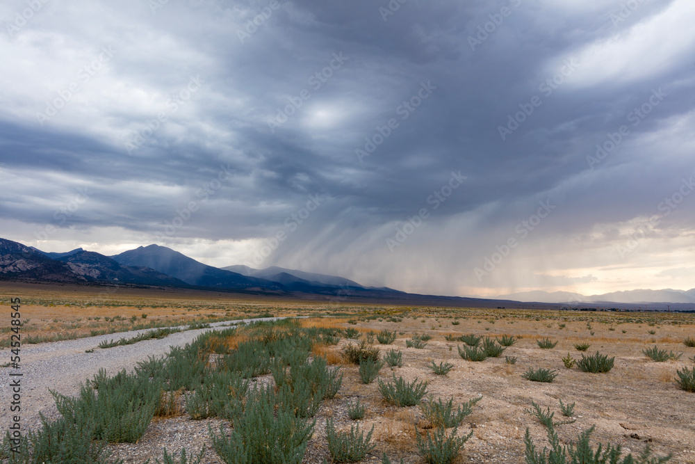 Rain clouds gather over Great Basin National Park and the Snake Mountain Range near Baker, Nevada. The approaching storm darkens the sky and sends down dark tendrils of rain.