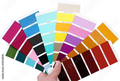Hand Holding Color Palettes - Isolated photo