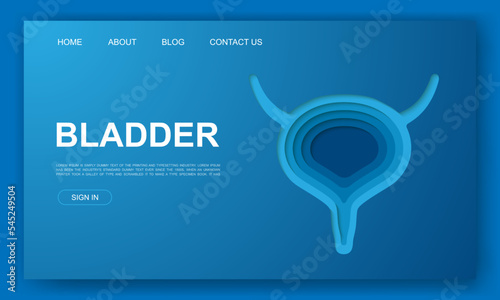 Bladder 3d paper cut style website template. Reproductive system paper cut illustration. Organ symbol for landing page, advertising page.