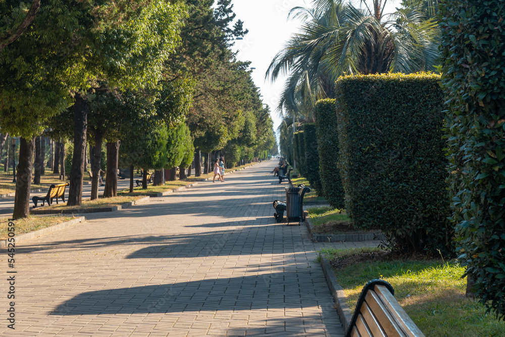 Φωτογραφία Park with palm trees and other trees on the embankment of Batumi
