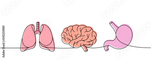 Set of human organs one line colored continuous drawing. Lungs, brain, stomach continuous colorful one line illustration. Vector linear illustration.