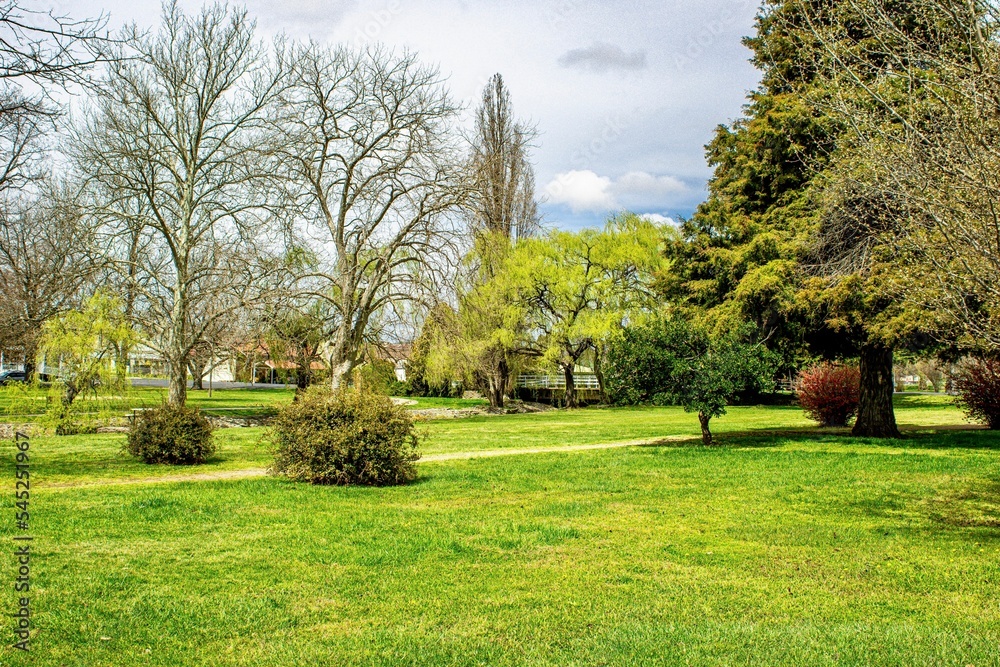 Obraz premium Landscape at the Park in Glen Innes, New South Wales, Australia on a cloudy day