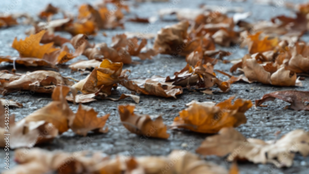 Autumn leaves background. Plane tree leaves on the street. Romantic and serene feelings background. Blurry photography. Noise included Autumn leaves background. Plane tree leaves on the street. Romantic and serene feelings background. Blurry photography. Noise included