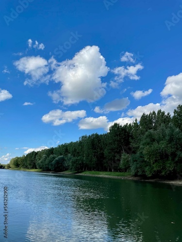 Vertical shot of a river with a green trees and blue cloudy sky