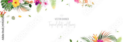 Tropical banner arranged from exotic emerald leaves and exotic flowers