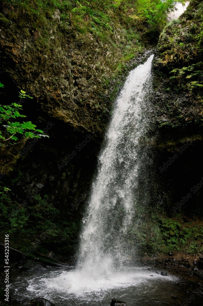Fototapeta premium Vertical image of a waterfall in a forest in summer around Corbett, Oregon