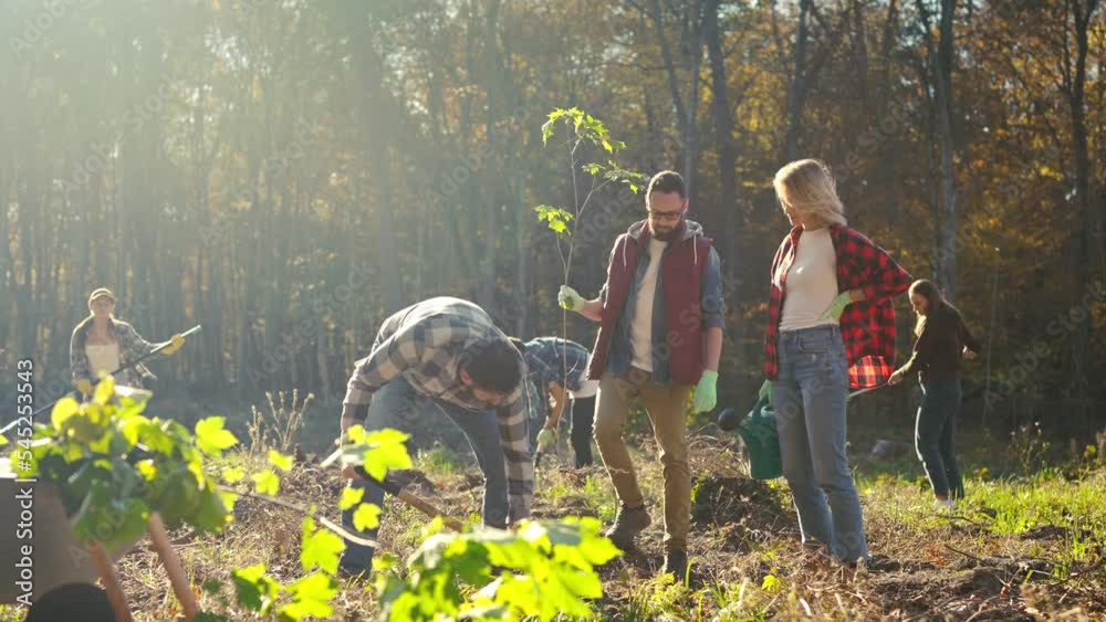 Males and females planting trees as seedlings in field at forest and cooperating for safe nature. Outside. Eco activists plant tree and watering it. Men and women volunteers for environment.