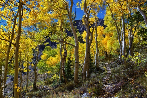 Deseret Peak hiking trail Stansbury Mountains, by Oquirrh Mountains Rocky Mountains, Utah. America. 