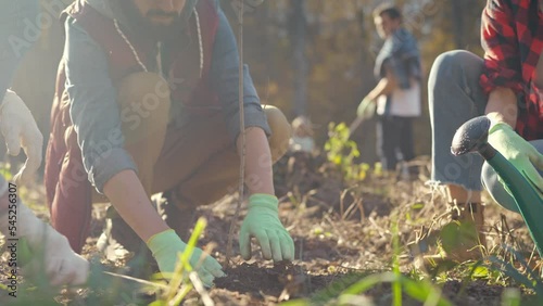 Close up of males and females planting tree as seedling in garden and cooperating for safe nature. Outdoor. Eco activists plant tree and watering it. Men and women in agriculture.