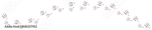 Border with the trajectory of bird tracks. Crooked path. Path in the snow. Isolated watercolor illustration