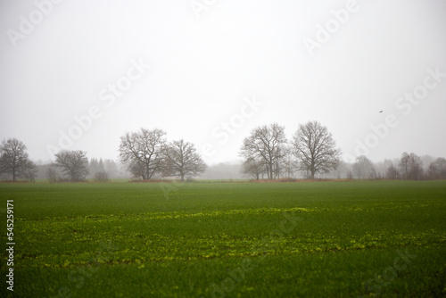 Outdoor countryside in a misty field, foggy rainy day, selective focus