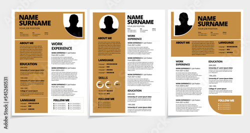 Professional resume template design. Business layout vector for job applications 