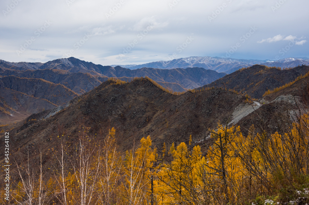 Naklejka premium View of Altay mountains