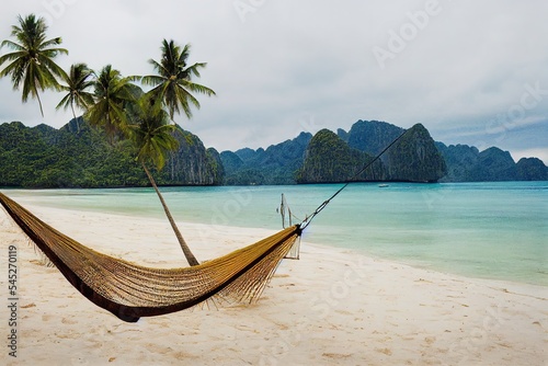Philippines, Palawan, hammock and palms on a beach near El Nido