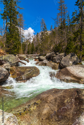 Stream in High Tatras mountains photo