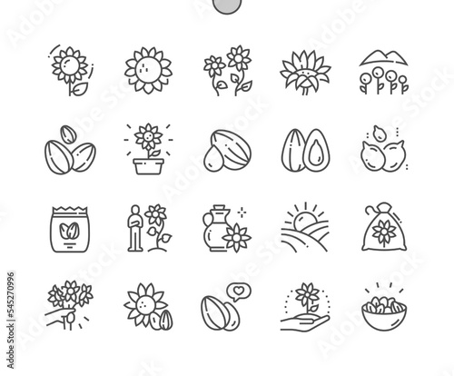 Sunflower. Nature. Flower, seed, oil, seedling. Food shop, supermarket. Pixel Perfect Vector Thin Line Icons. Simple Minimal Pictogram