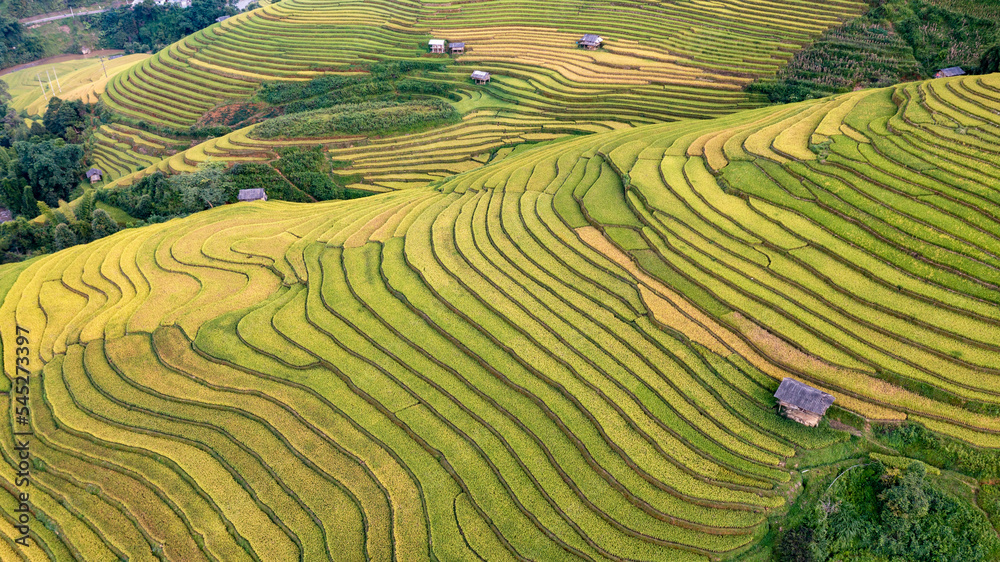 Rice fields on terraced prepare the harvest at Northwest Vietnam. Rice fields on terraced prepare the harvest at Northwest Vietnam.