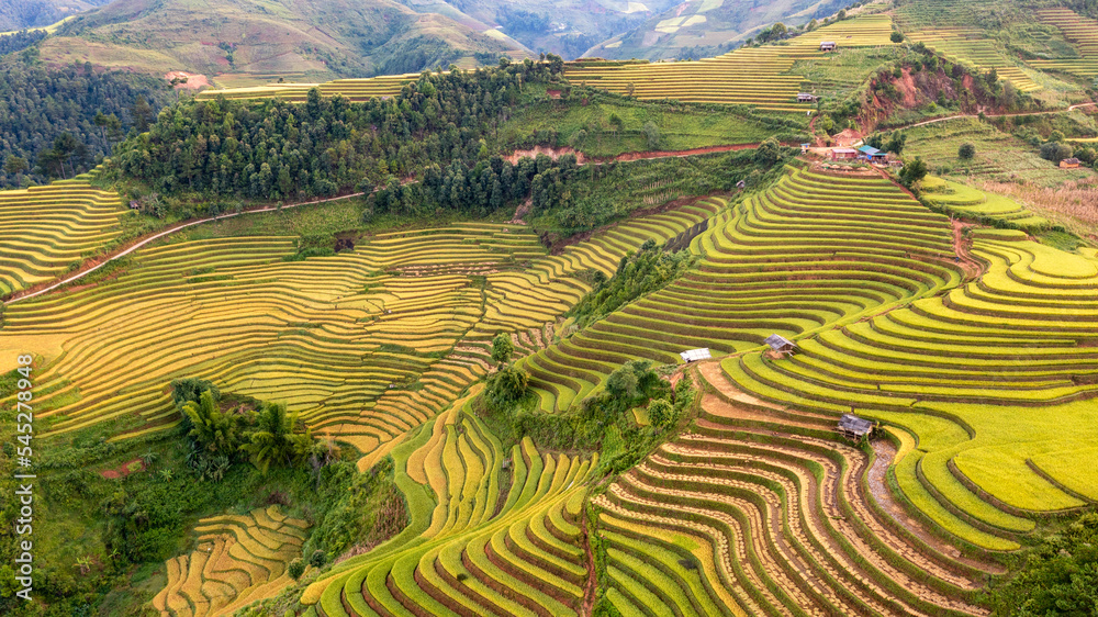 Rice fields on terraced prepare the harvest at Northwest Vietnam. Rice fields on terraced prepare the harvest at Northwest Vietnam.
